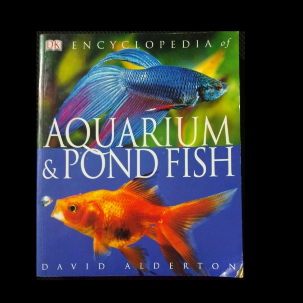 Everything You Need To Know About Fish As Pets Living Inside And Out